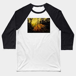 In the Depths of the Forest Baseball T-Shirt